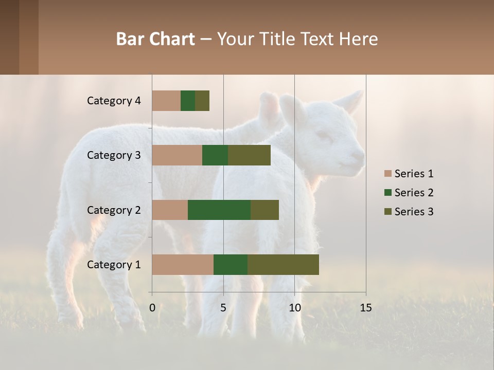 Two Lambs Are Standing In A Field Of Grass PowerPoint Template
