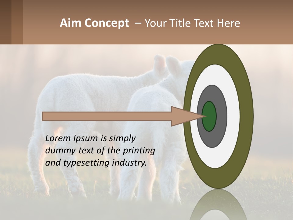 Two Lambs Are Standing In A Field Of Grass PowerPoint Template