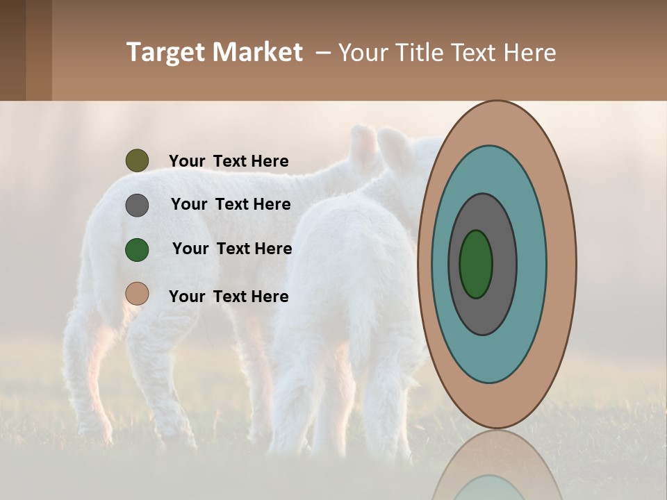 Two Lambs Are Standing In A Field Of Grass PowerPoint Template