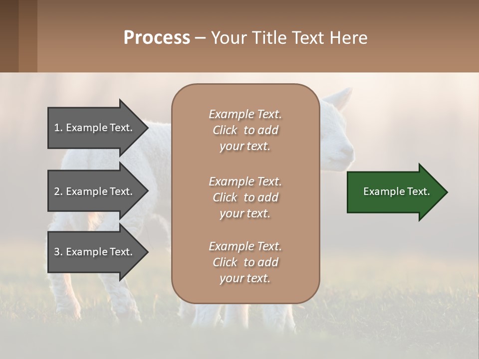Two Lambs Are Standing In A Field Of Grass PowerPoint Template