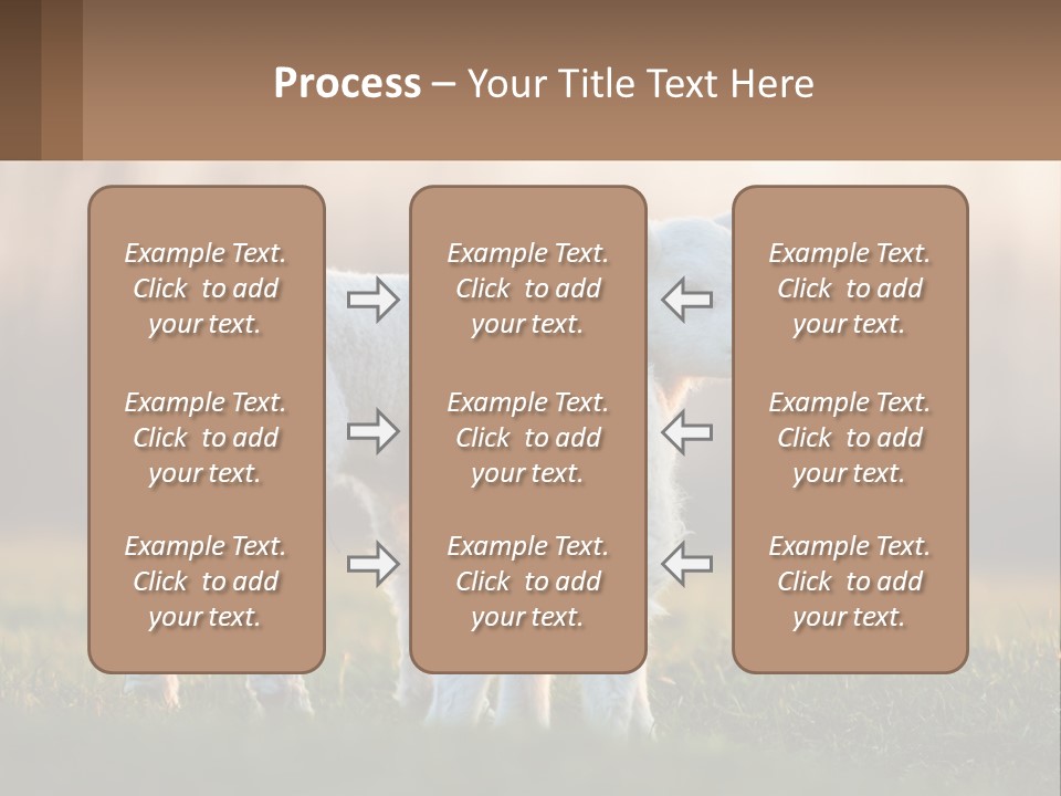 Two Lambs Are Standing In A Field Of Grass PowerPoint Template
