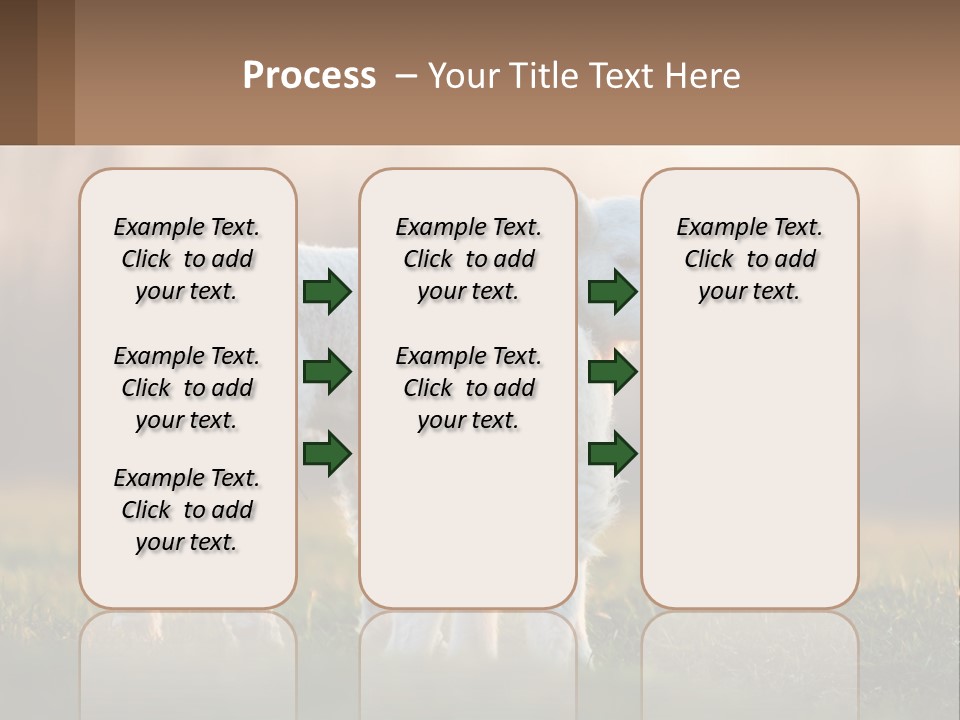 Two Lambs Are Standing In A Field Of Grass PowerPoint Template