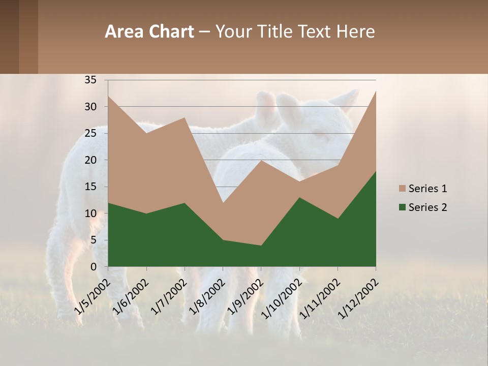 Two Lambs Are Standing In A Field Of Grass PowerPoint Template