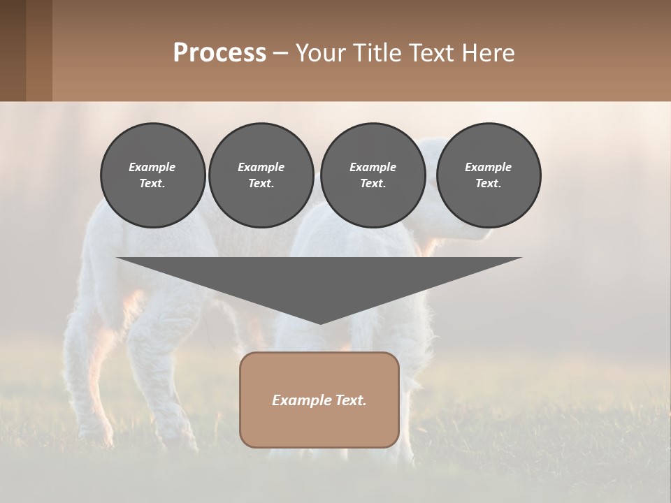 Two Lambs Are Standing In A Field Of Grass PowerPoint Template