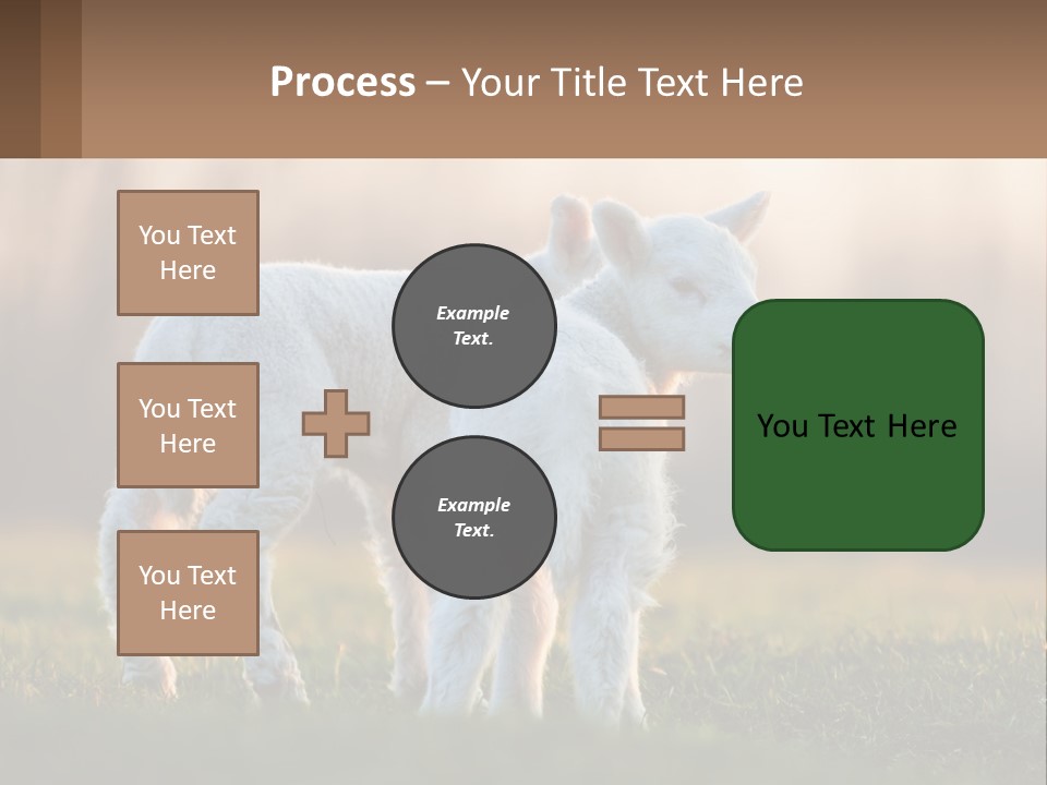 Two Lambs Are Standing In A Field Of Grass PowerPoint Template