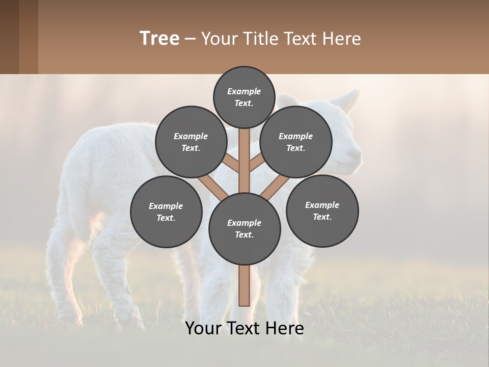 Two Lambs Are Standing In A Field Of Grass PowerPoint Template