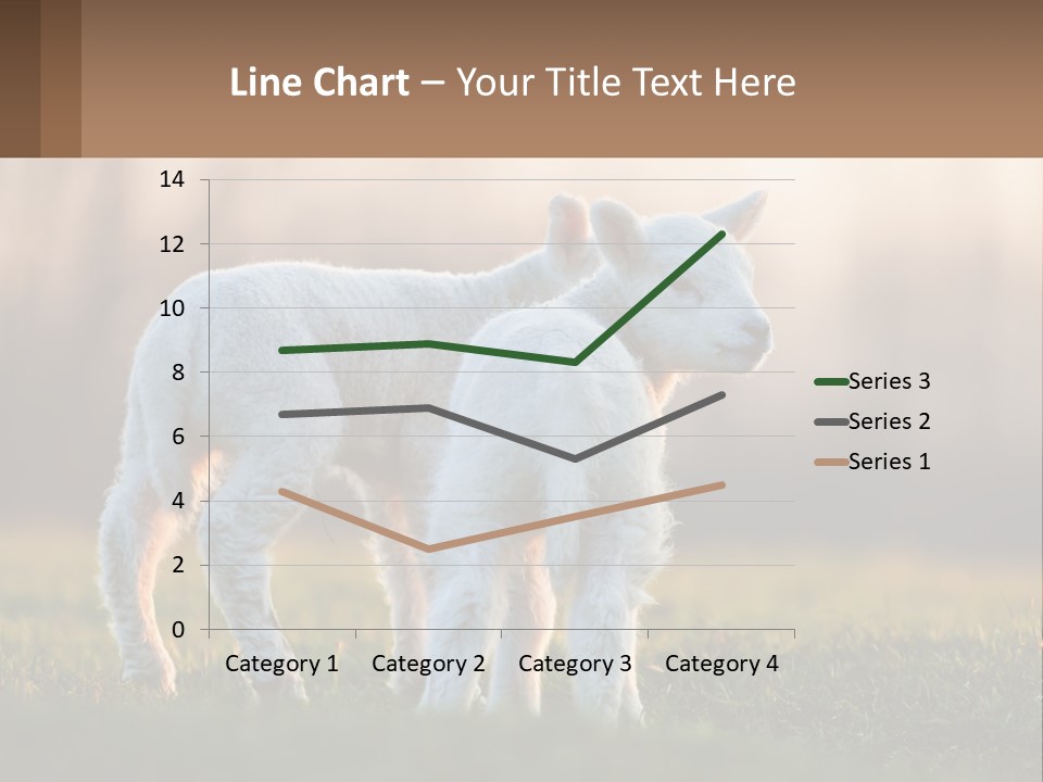 Two Lambs Are Standing In A Field Of Grass PowerPoint Template