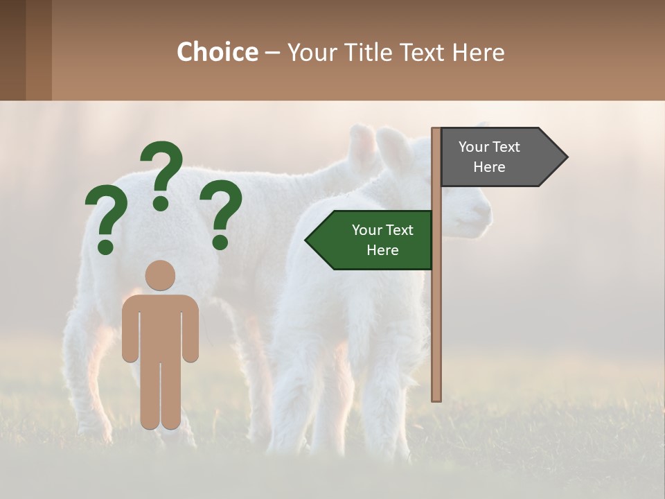 Two Lambs Are Standing In A Field Of Grass PowerPoint Template