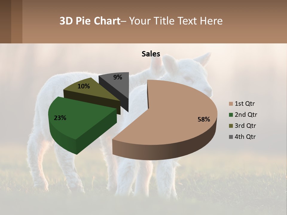 Two Lambs Are Standing In A Field Of Grass PowerPoint Template