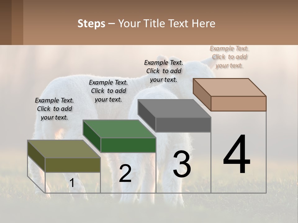 Two Lambs Are Standing In A Field Of Grass PowerPoint Template