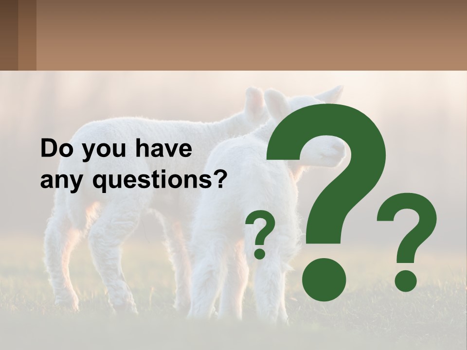 Two Lambs Are Standing In A Field Of Grass PowerPoint Template