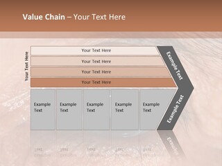 A Close Up Of An Eye With A Brown Background PowerPoint Template
