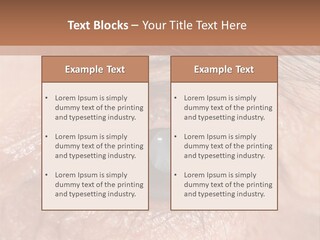 A Close Up Of An Eye With A Brown Background PowerPoint Template
