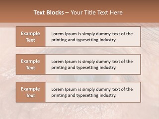 A Close Up Of An Eye With A Brown Background PowerPoint Template