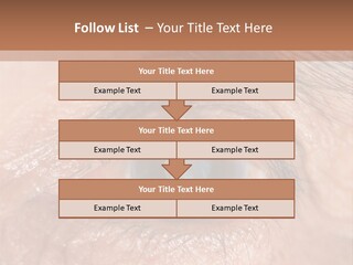 A Close Up Of An Eye With A Brown Background PowerPoint Template