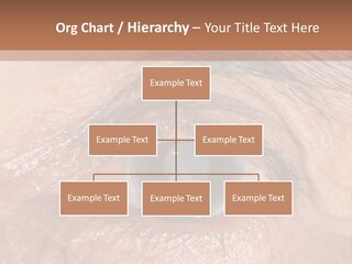 A Close Up Of An Eye With A Brown Background PowerPoint Template