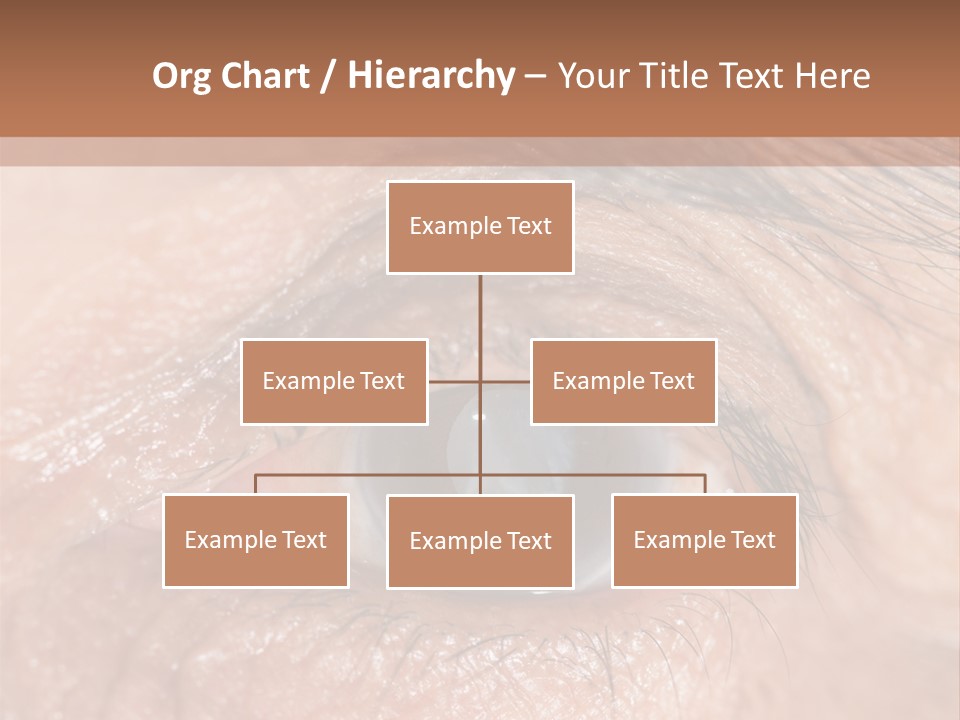 A Close Up Of An Eye With A Brown Background PowerPoint Template
