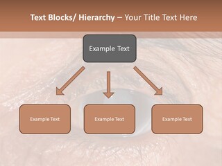A Close Up Of An Eye With A Brown Background PowerPoint Template