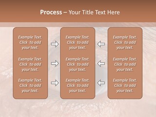 A Close Up Of An Eye With A Brown Background PowerPoint Template