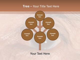 A Close Up Of An Eye With A Brown Background PowerPoint Template