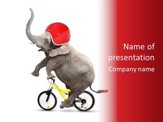 An Elephant Riding A Bike With A Helmet On It's Head PowerPoint Template