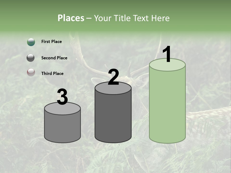 A Deer Standing In The Middle Of A Forest PowerPoint Template