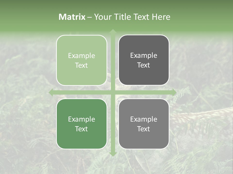 A Deer Standing In The Middle Of A Forest PowerPoint Template