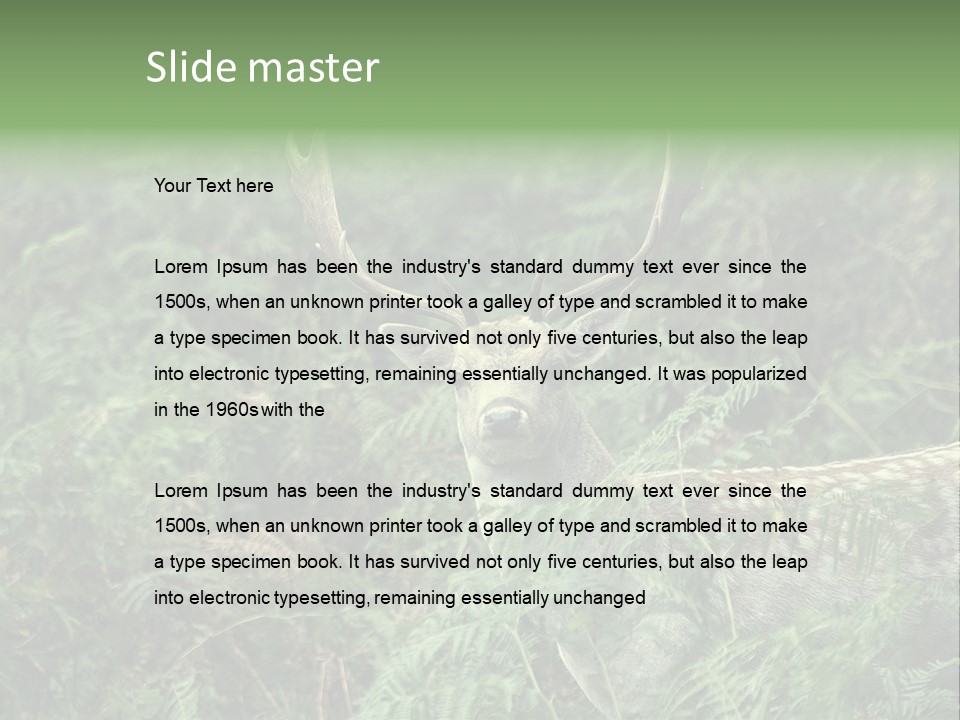 A Deer Standing In The Middle Of A Forest PowerPoint Template