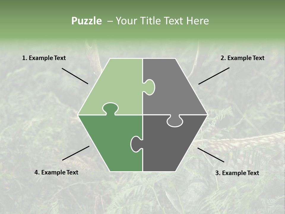 A Deer Standing In The Middle Of A Forest PowerPoint Template