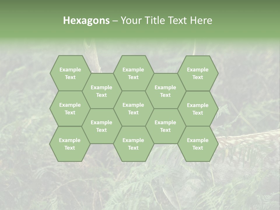 A Deer Standing In The Middle Of A Forest PowerPoint Template