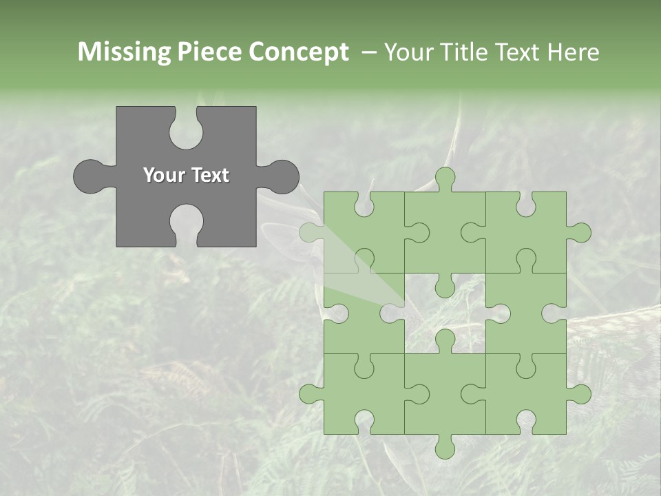 A Deer Standing In The Middle Of A Forest PowerPoint Template