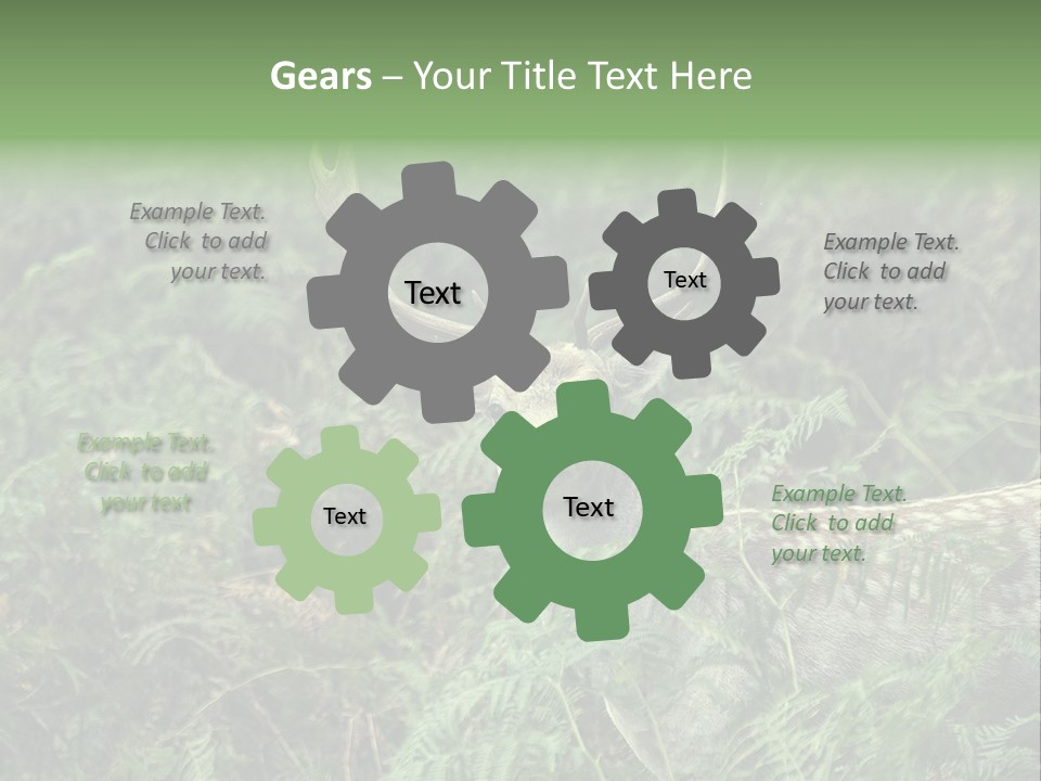 A Deer Standing In The Middle Of A Forest PowerPoint Template