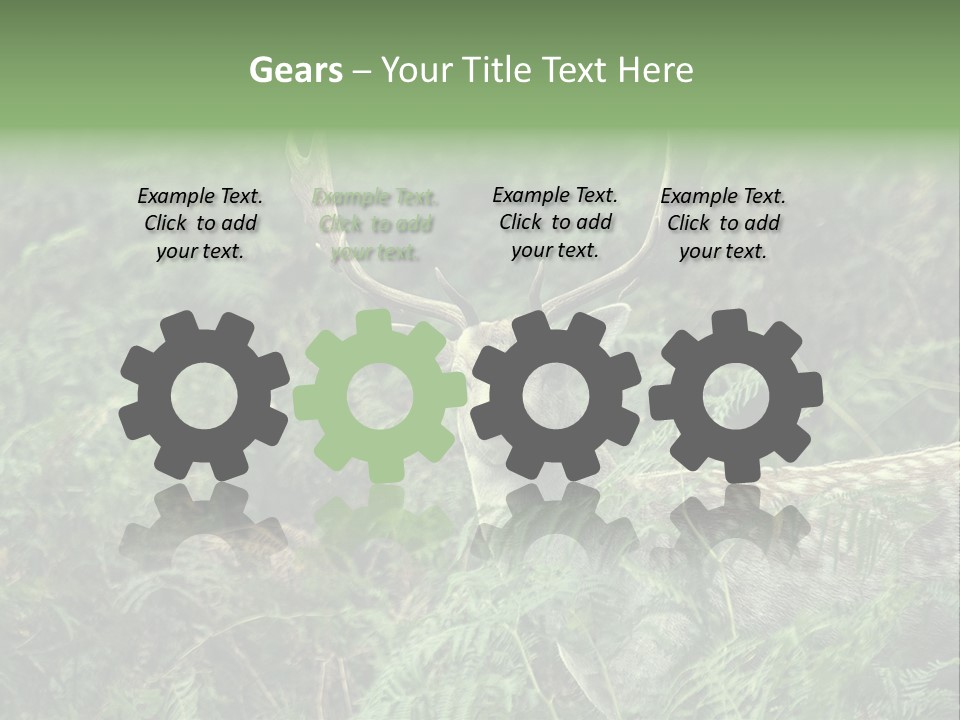 A Deer Standing In The Middle Of A Forest PowerPoint Template