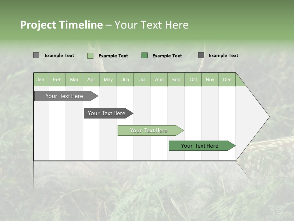 A Deer Standing In The Middle Of A Forest PowerPoint Template