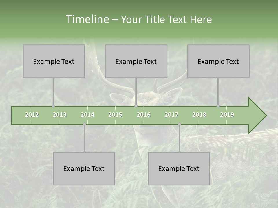 A Deer Standing In The Middle Of A Forest PowerPoint Template