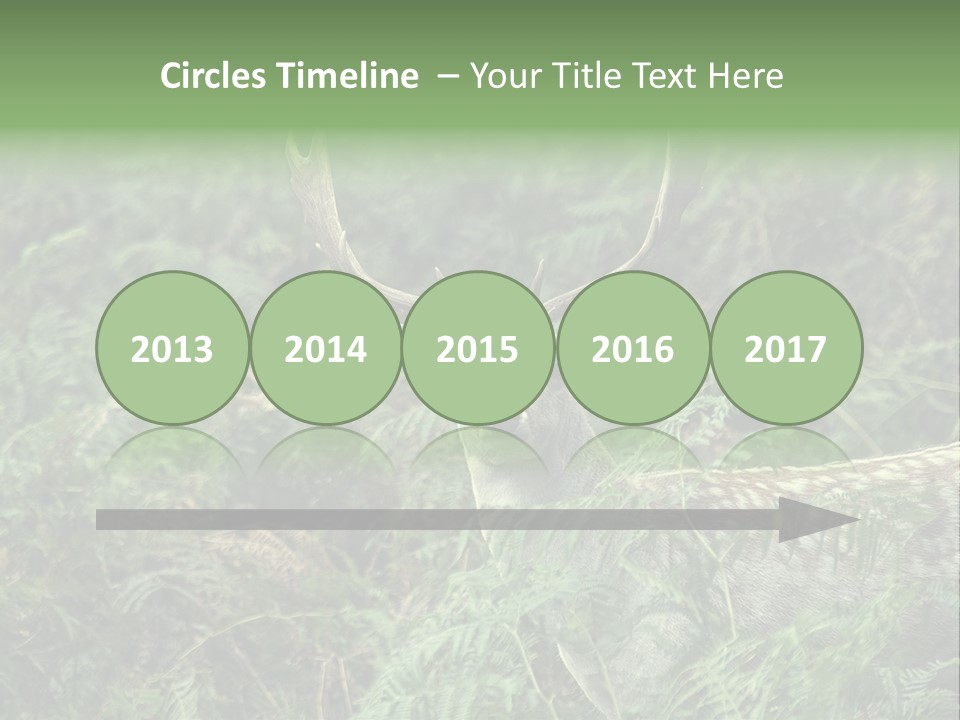 A Deer Standing In The Middle Of A Forest PowerPoint Template