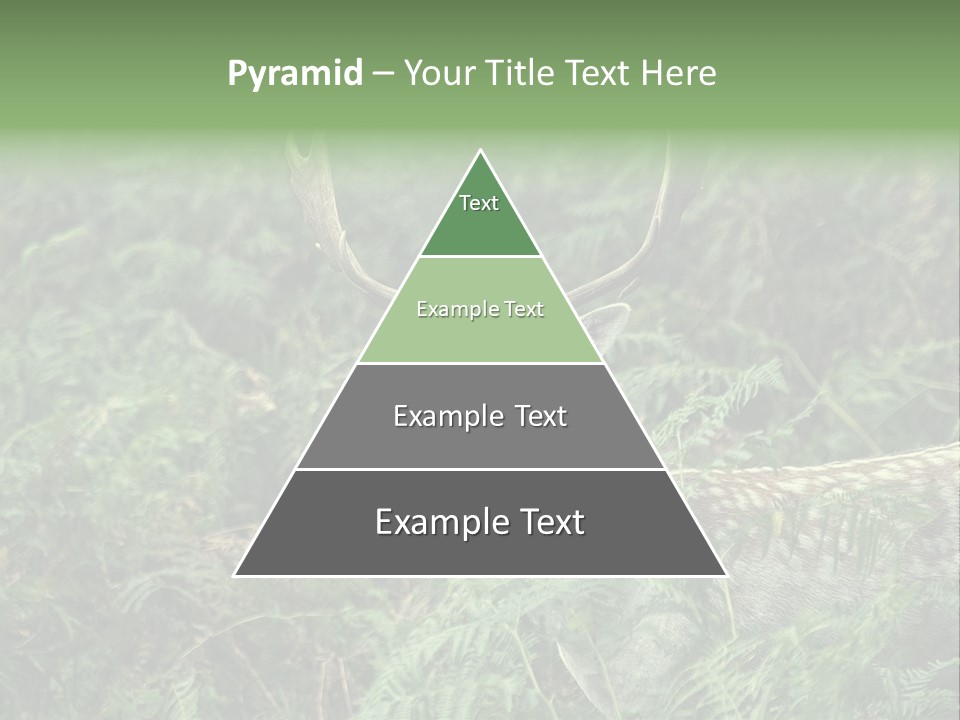 A Deer Standing In The Middle Of A Forest PowerPoint Template