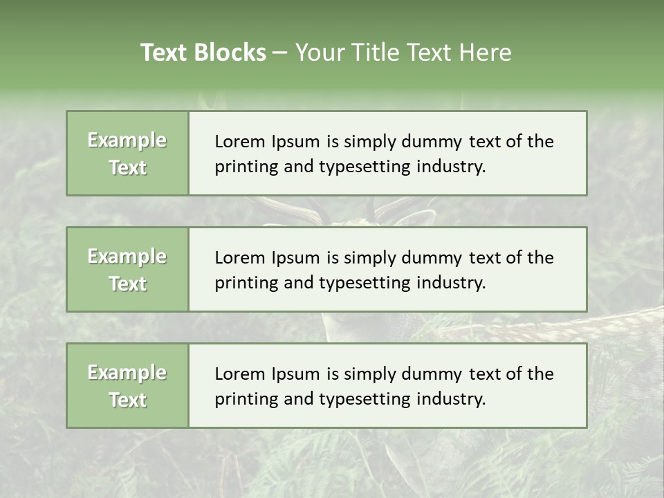 A Deer Standing In The Middle Of A Forest PowerPoint Template