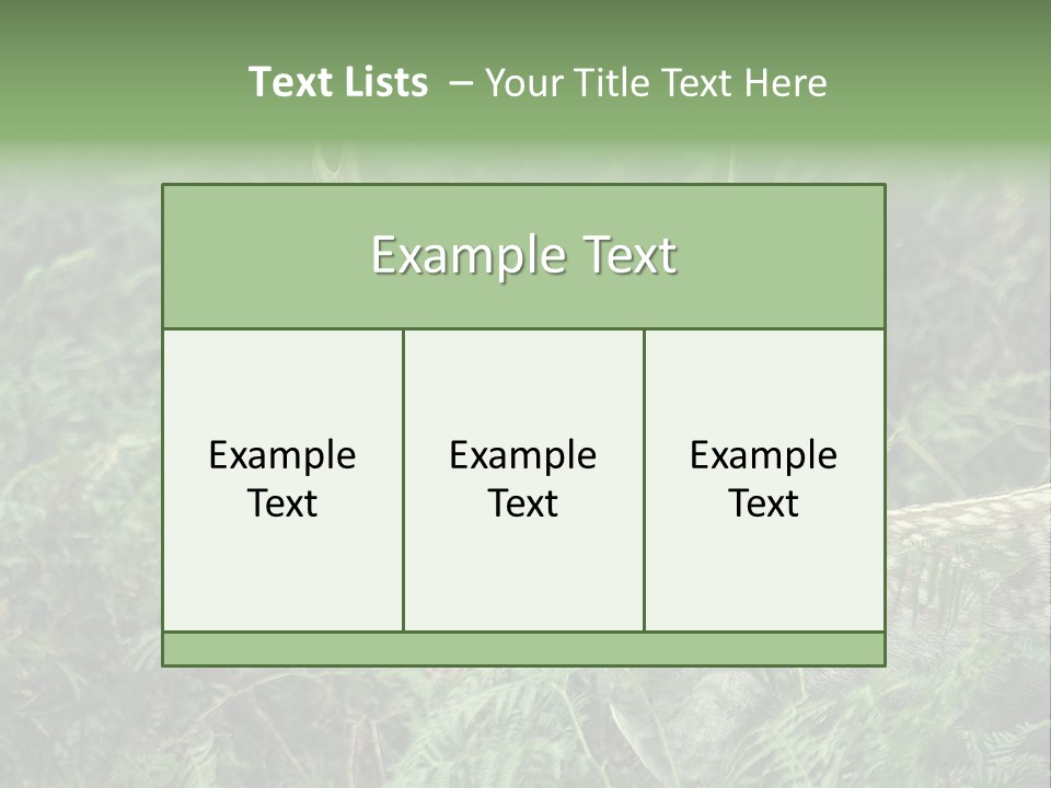 A Deer Standing In The Middle Of A Forest PowerPoint Template