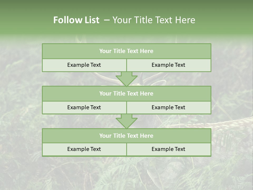 A Deer Standing In The Middle Of A Forest PowerPoint Template