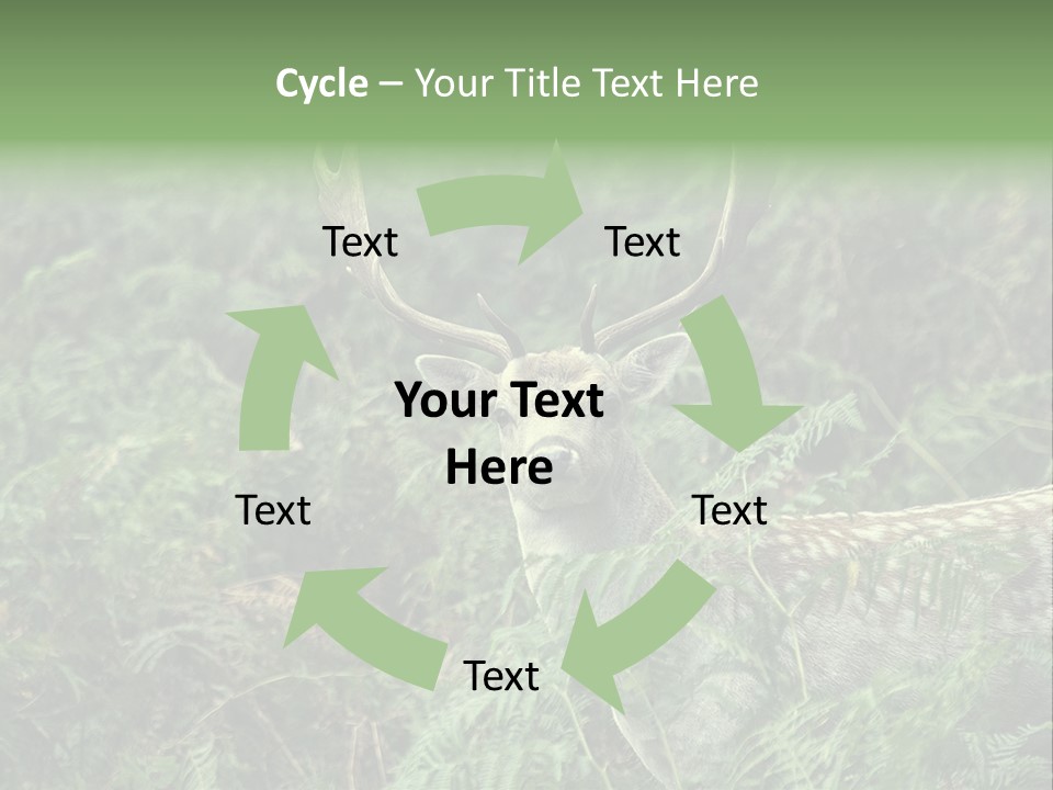 A Deer Standing In The Middle Of A Forest PowerPoint Template