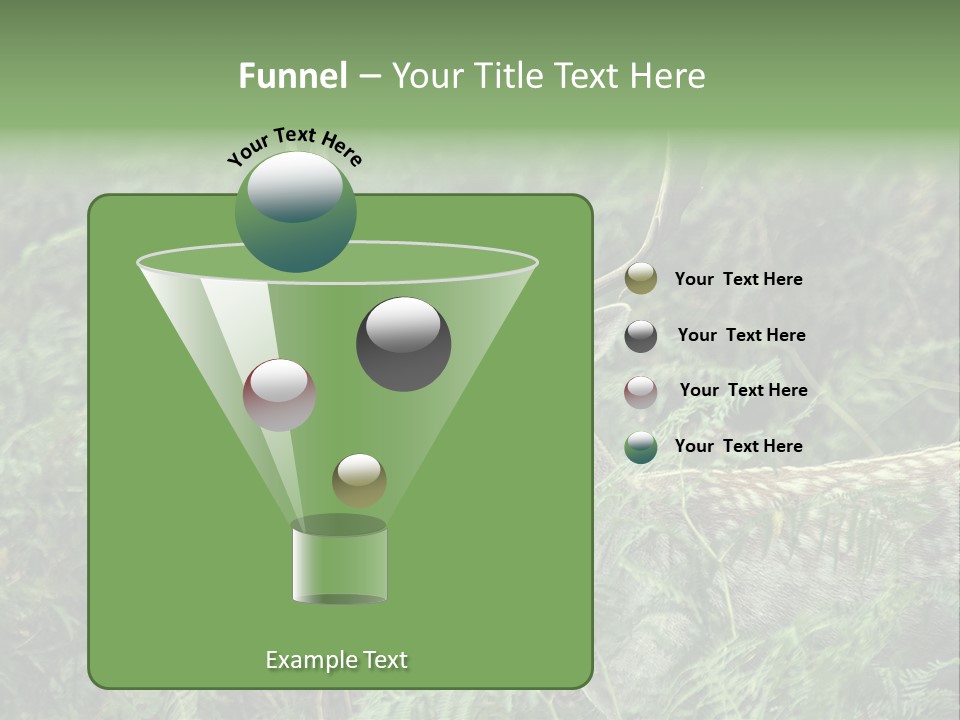 A Deer Standing In The Middle Of A Forest PowerPoint Template