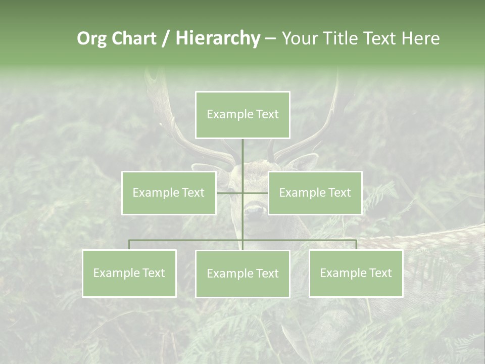 A Deer Standing In The Middle Of A Forest PowerPoint Template