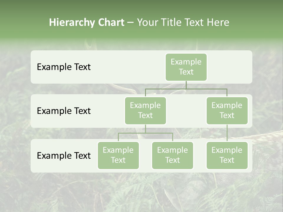 A Deer Standing In The Middle Of A Forest PowerPoint Template