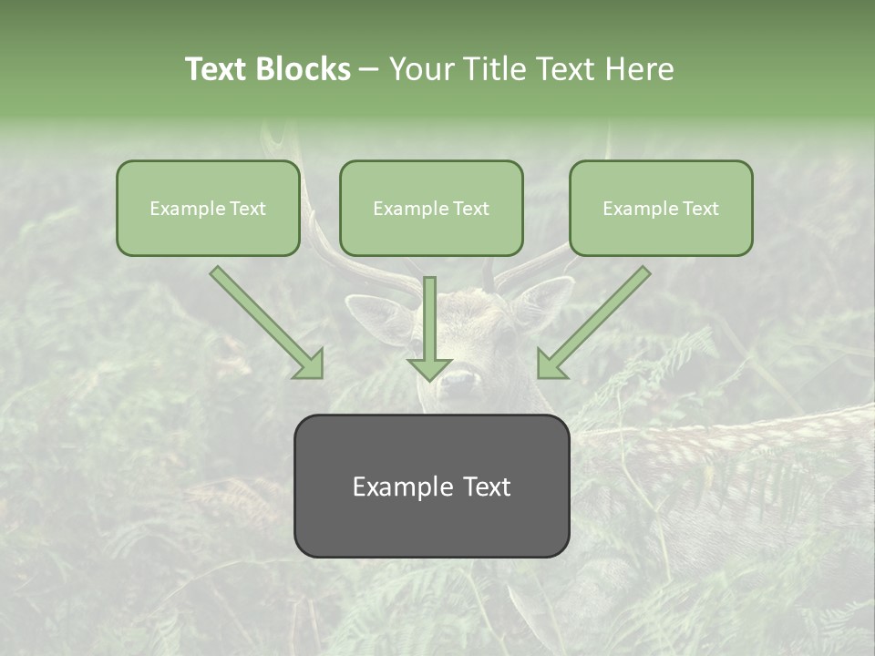 A Deer Standing In The Middle Of A Forest PowerPoint Template