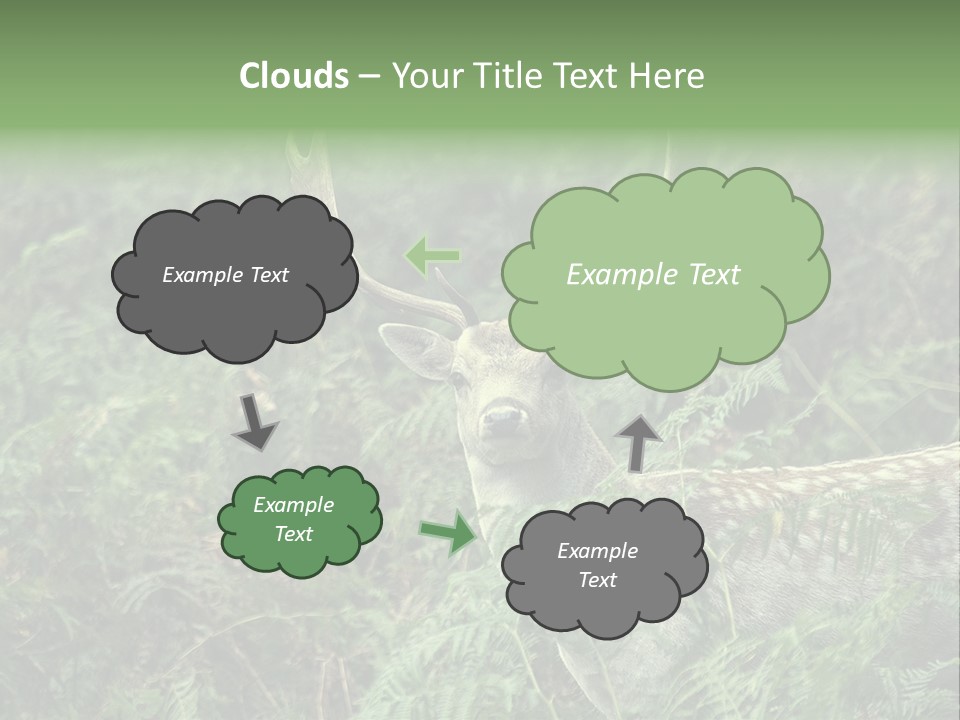 A Deer Standing In The Middle Of A Forest PowerPoint Template
