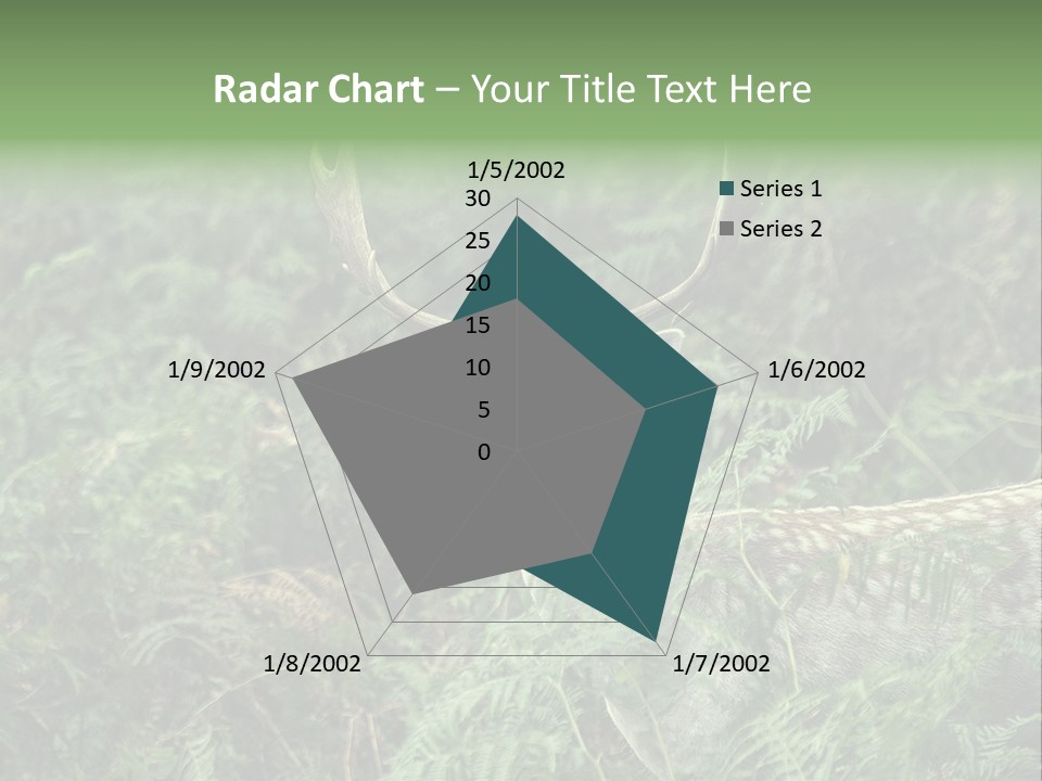 A Deer Standing In The Middle Of A Forest PowerPoint Template