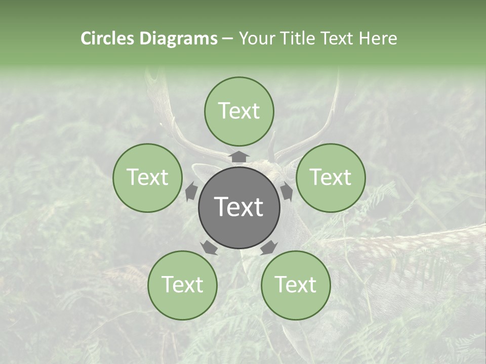 A Deer Standing In The Middle Of A Forest PowerPoint Template