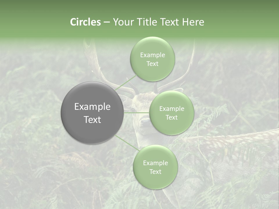 A Deer Standing In The Middle Of A Forest PowerPoint Template