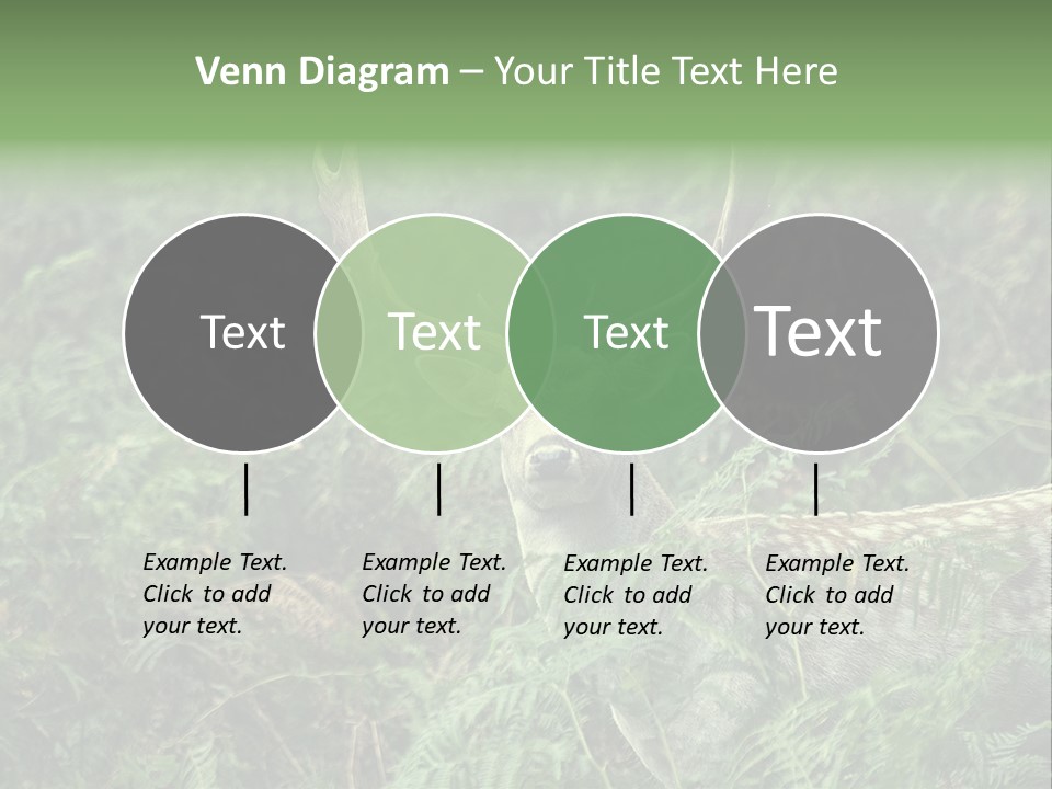 A Deer Standing In The Middle Of A Forest PowerPoint Template